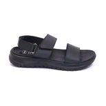 scholl---men